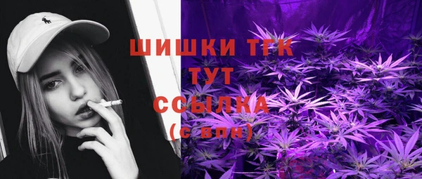 метадон Рославль