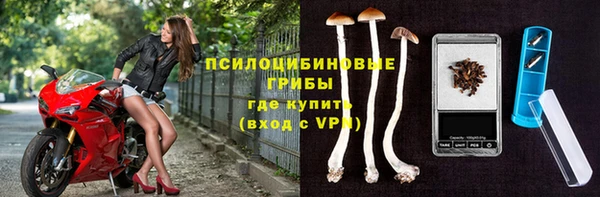 метадон Рославль