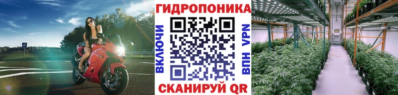 mega вход  Богучар  Бошки марихуана гибрид 